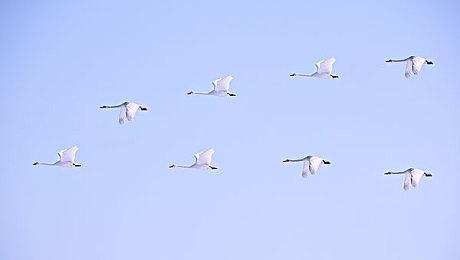 《饿狼传说:狼之城》官宣举行公开B测 2月20日开启