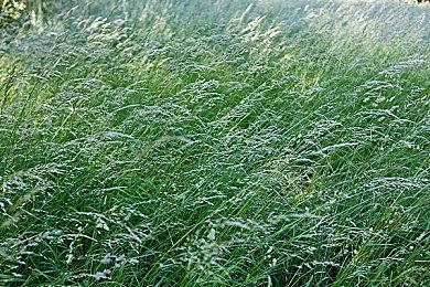 Epic喜加一:《Dark and Darker - 传奇身份》免费领